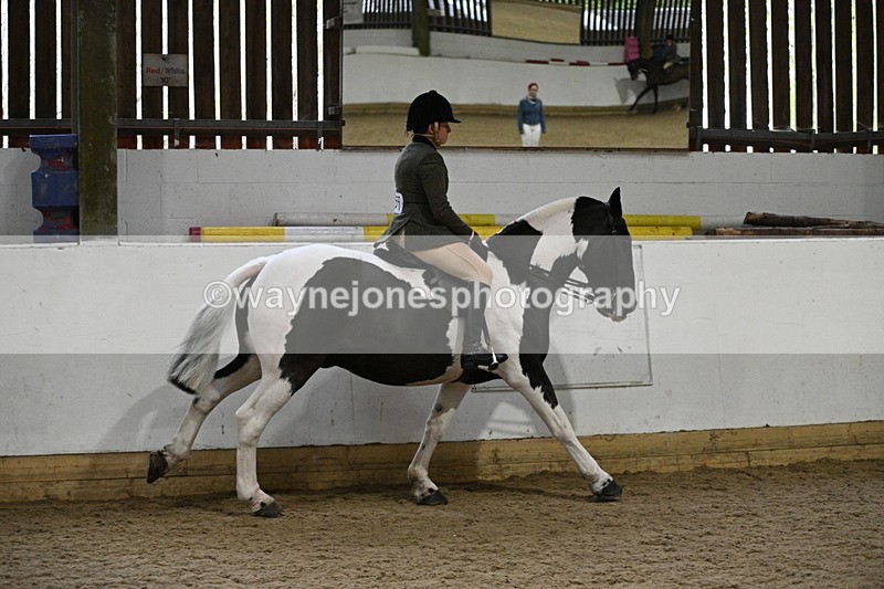 WJ7_3837 - Class 17 Ridden Cob