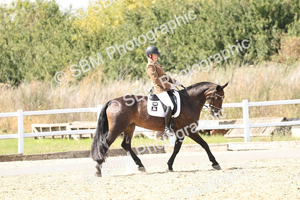 SBM_014896 - Class 7 - Medium 3