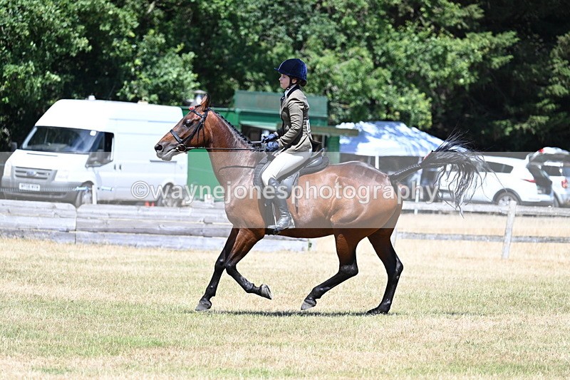 WJ7_3103 - Class 7 Riding Club Show Horse