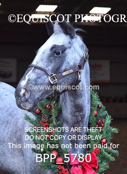 BPP_5780 - Marion West pony 2