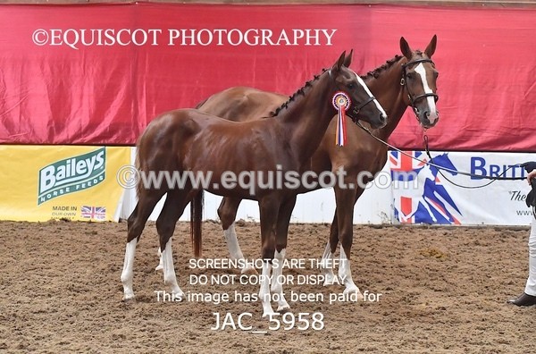 JAC_5958 - 11 Pandora of Westoak