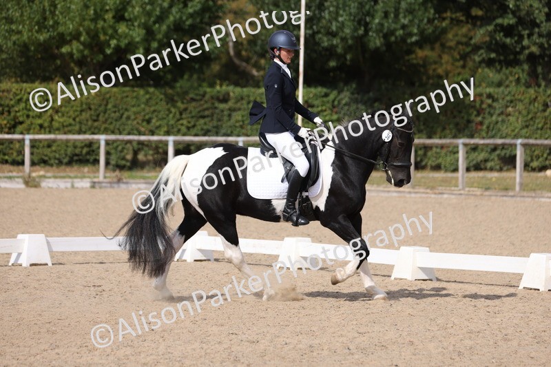 20250820-1371 - Class 19 - Medium 3