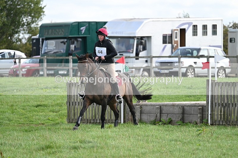 WJ7_8340 - 60cm Pairs