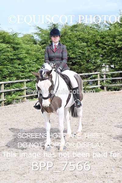 BPP_7566 - RING 1  (RIDDEN HORSES / IN HAND / VETERAN ETC)
