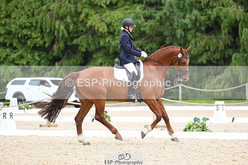 230813-135746-07654 - Cls 13 Medium Bronze 13.15 to End