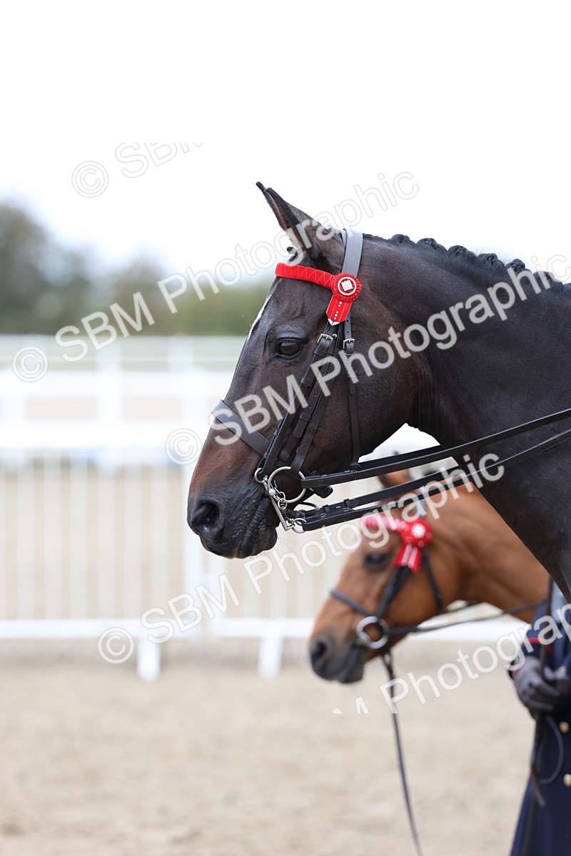 SBM_01430 - Class 51 - Best Turned Out Ridden