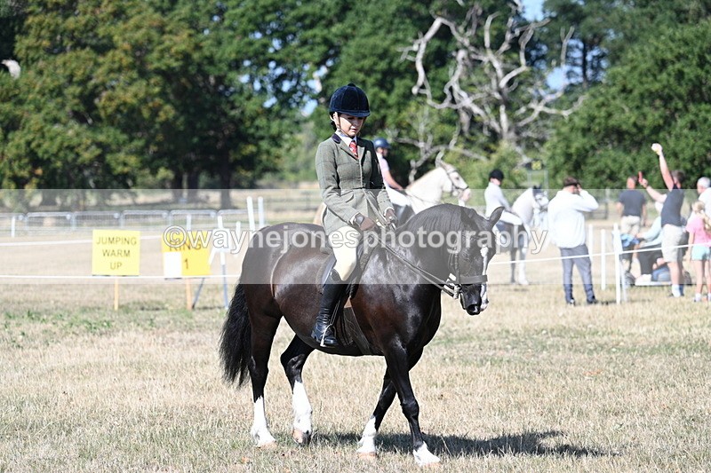 WJ7_3543 - Class 9 Mountain & Moorland Ridden