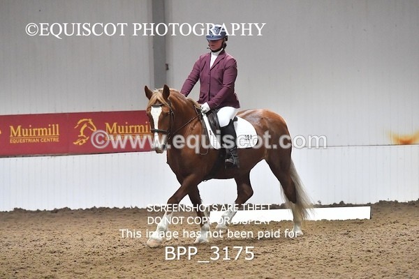 BPP_3175 - INTRO TEST 3