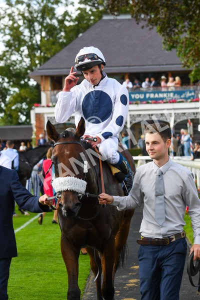 240823-Race 6-Gushing Gold-0809 - Race 6 4.45pm Or8Wellness EBF Stallions Nursery Handicap