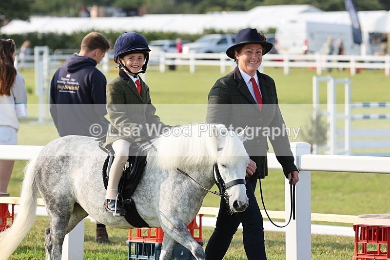 JPP_0128 - Class 14: Cornish Combination Leading Rein