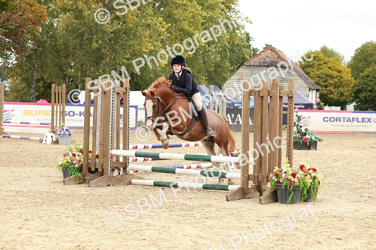 SBM_67163 - J13 - Junior Pony 60cm Championship