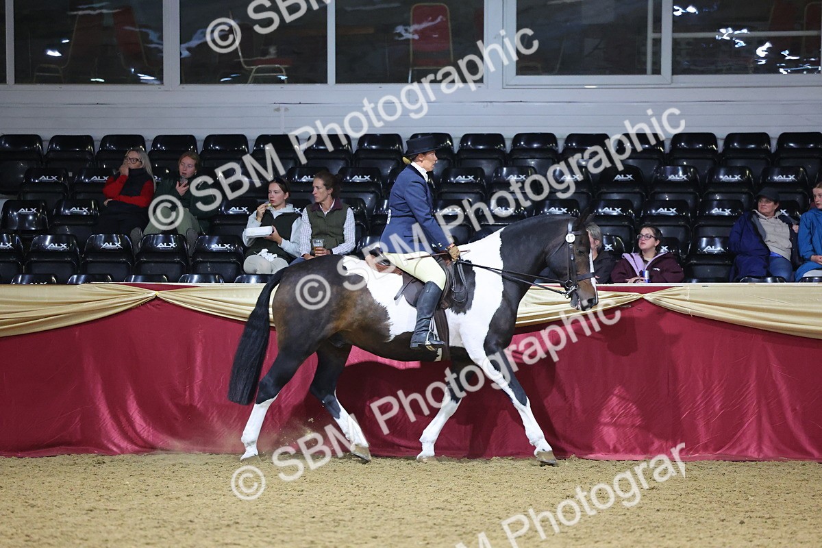 SBM_19119 - Class I Competition/ Riding Club Champ