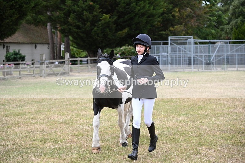 WJ6_4228 - Class 10 Coloured In-hand