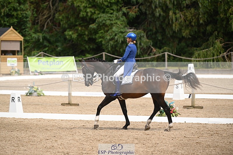 250719A-140304-05876 - 038-Natasha.Collings-Costello-Dovevale.Tender.Dove