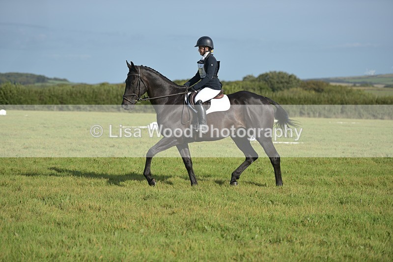 RAY_7420 - Class 2B: Trekenning Open: Dressage