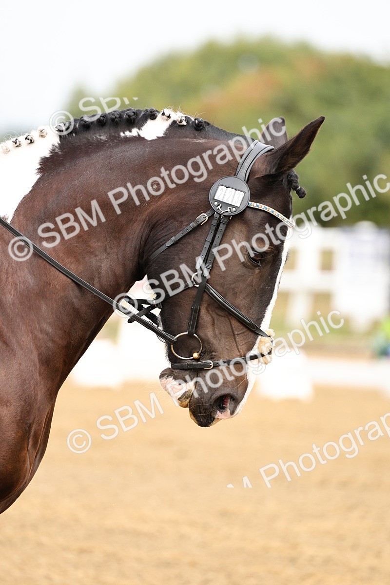 SBM_011408 - Class 1 - Prelim 4