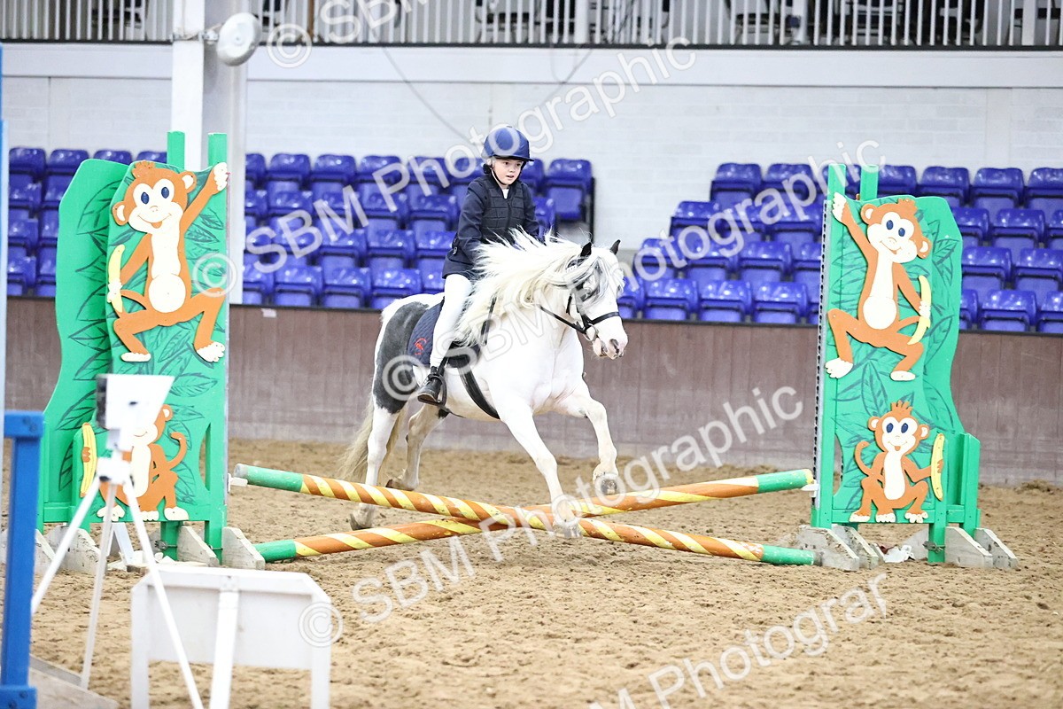 SBM_000193 - Class 2 - The Rug Lady 40cm Area 12 Championship Qualifier