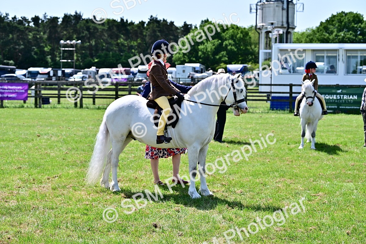 SBM_06052 - Class 59-60 - TSR M&M  Lear Rein and First Ridden Amateur of the year