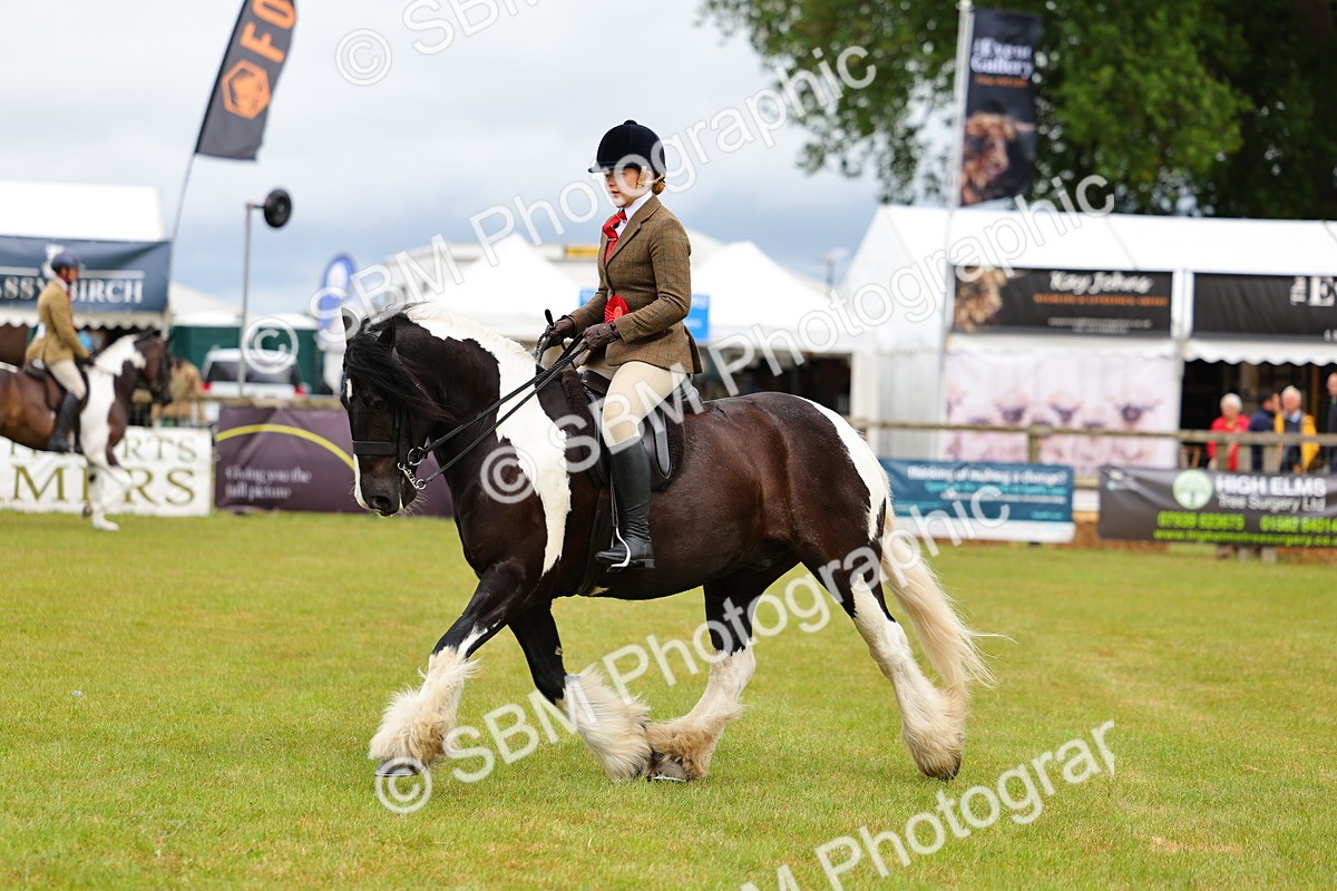 SBM_02630 - Class 9-11 Side Saddle including LIHS Rising Star Ladies Show Horse