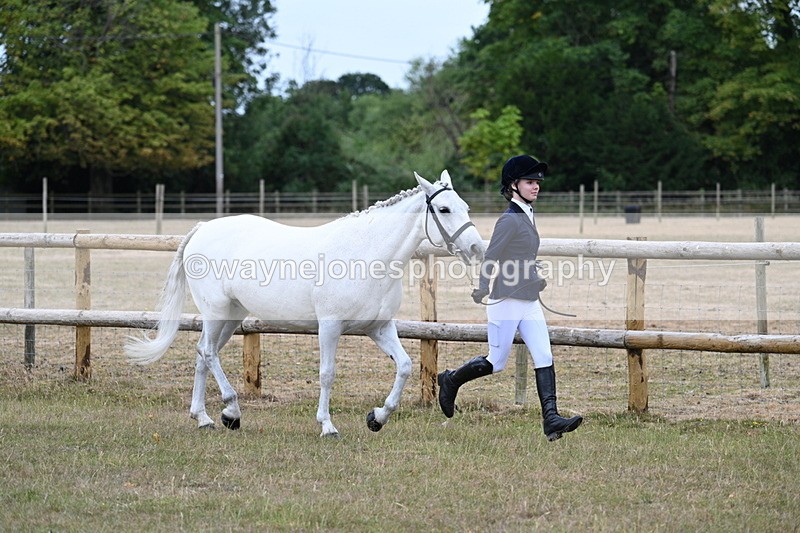 WJ7_8805 - Class 4a Prettiest Mare 14.2hh and over
