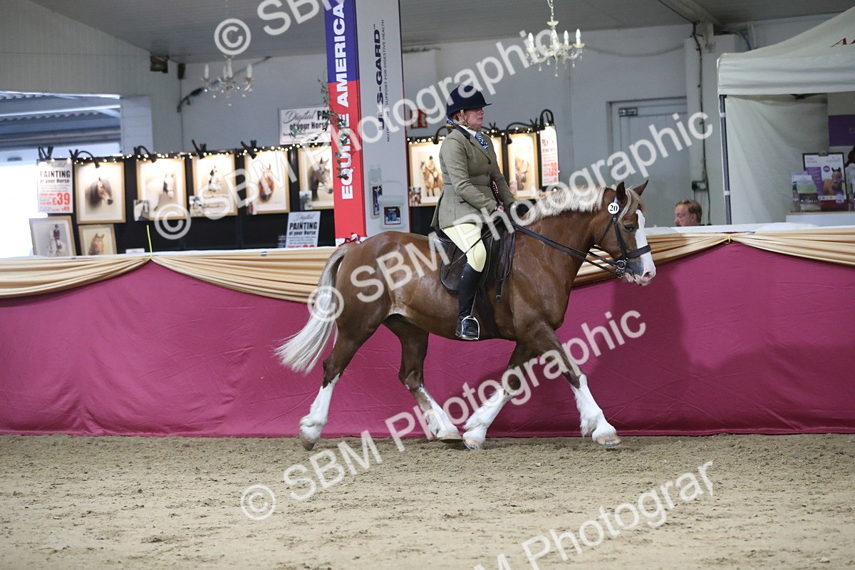 SBM_08517 - Class 11R Regional Ridden Veteran