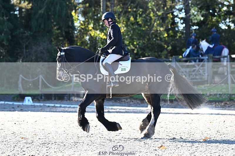 231110-103943-00161 - Cls 2 Prelim 17(a)Q