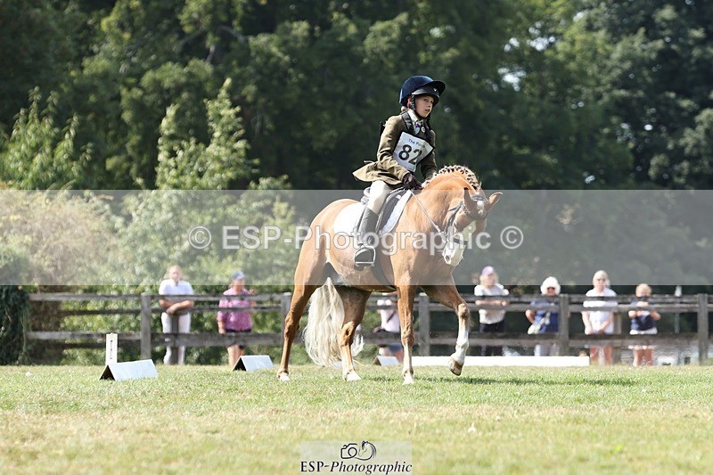 250823A-135609-31402 - Arena D