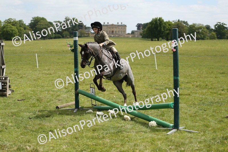 20250517-2984 - Class 25 - Horse & Hound