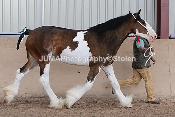 SIAL0365 - Indoor Classes