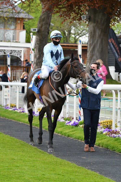 yr14052021r2-24 - Race 2 2.10pm Oak Farm Stables Fillies' Stakes (registered as the Michael Seely Memorial Stakes)