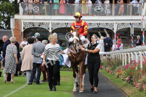 yr23072022r2-44 - Race 2 2.40pm Sky Bet Dash
