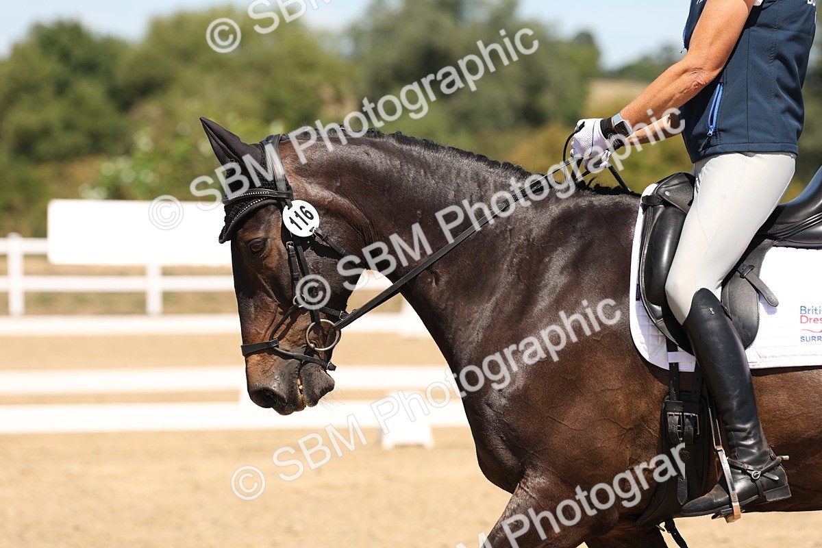 SBM_002737 - Elementary 4