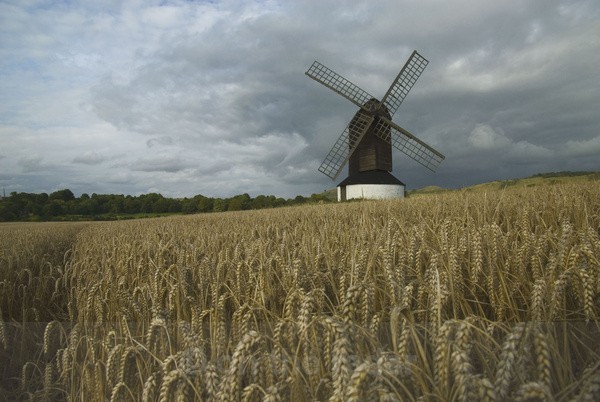 Pitstone post mill - Windmills
