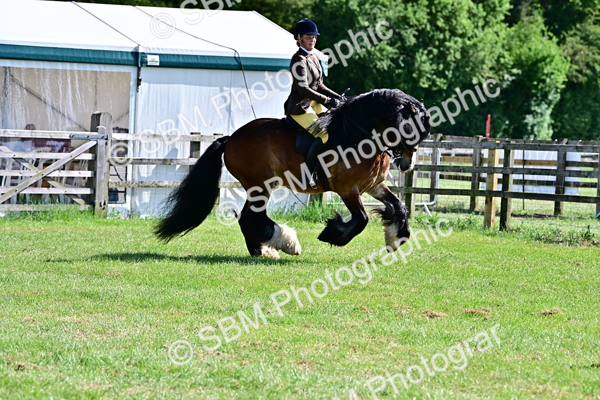 SBM_09311 - Class 63-65 - Traditional Gypsy Cobs In Hand & Ridden