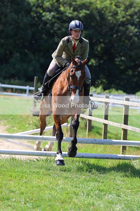 3E7A8556 - Class 5: Working Show Horse