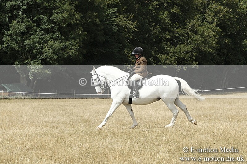 _PJP6020 - BVRC Show 2018 Ring 1