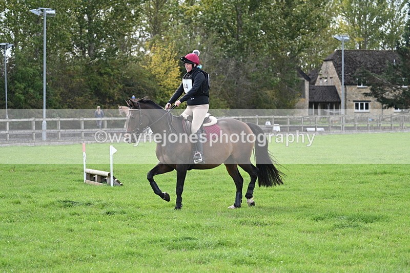 WJ7_8369 - 60cm Pairs