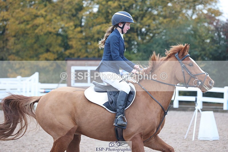 231112A-093944-03011 - Cls 17 Blue Chip Novice Winter Qualifier
