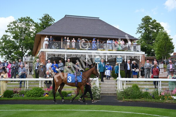 yr10062022r1-1 - Race 1 2.00pm Constant Security Gentlemen Amateur Riders Stakes