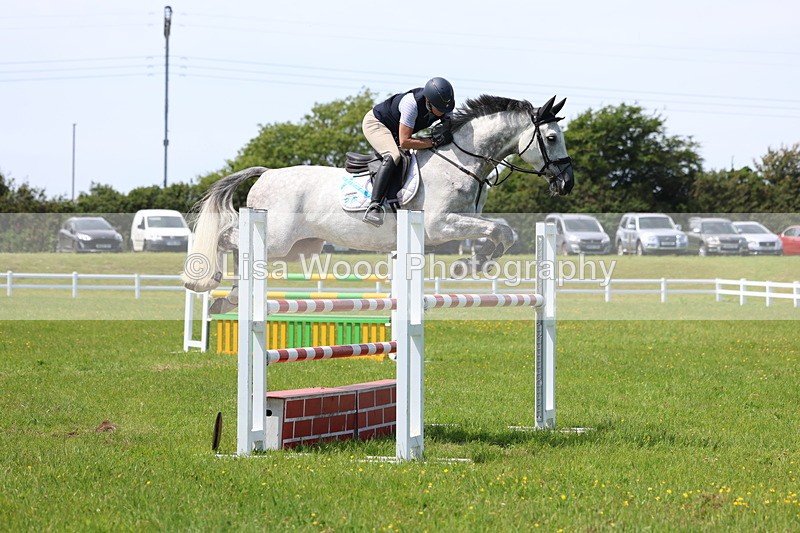 3E7A1326 - Class 12: Senior Foxhunter/1.20 open