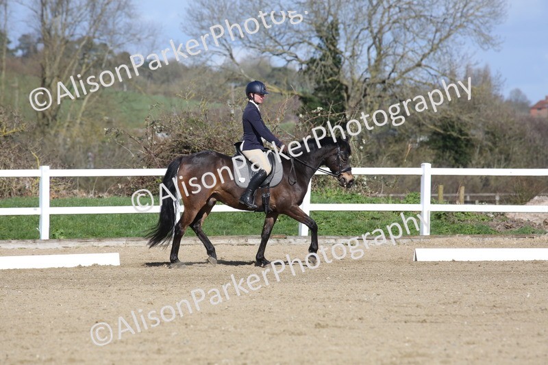 20260314-4228 - DR5 - Novice 1