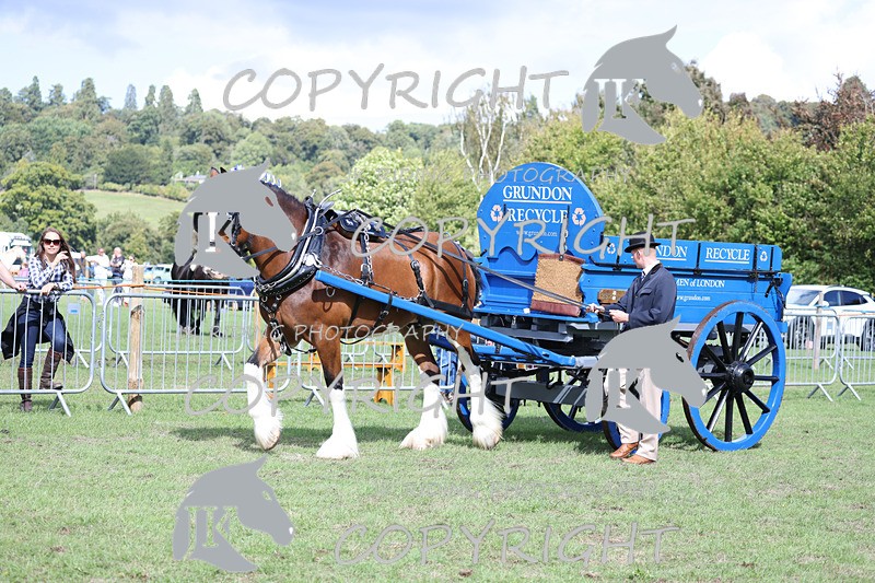 APP_3589 - Class 7 Turnout for a single or pair