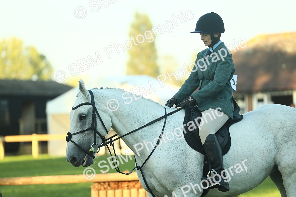 SBM_56422 - S14 - Riding Club Horse