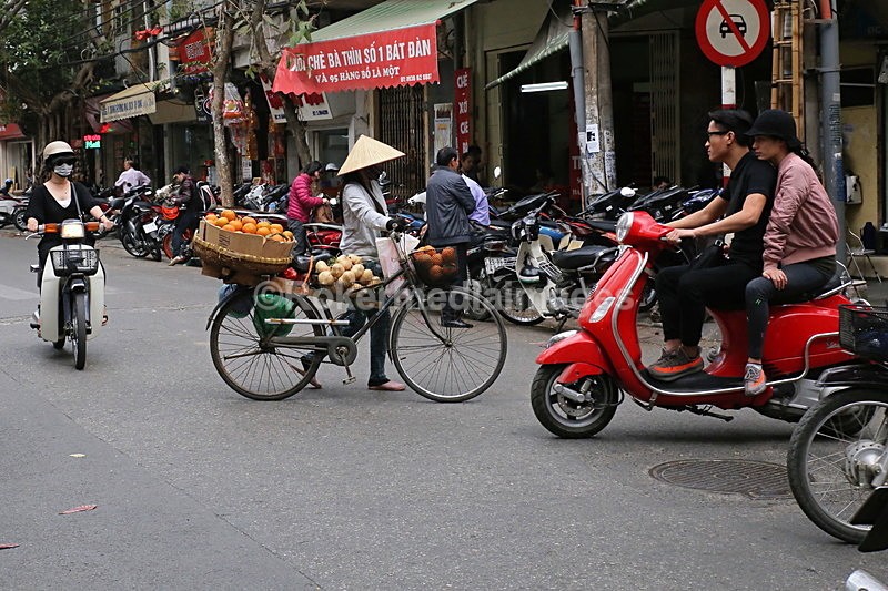 VIET_1249 - Vietnam 2017