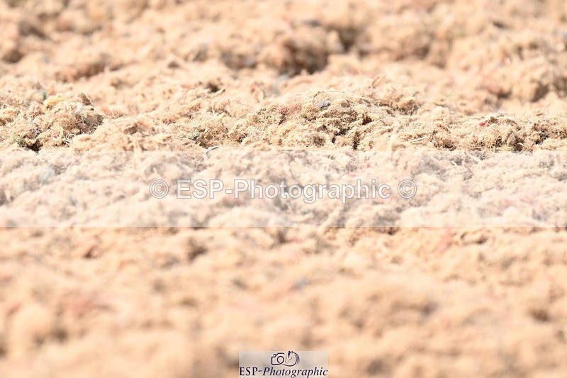 240621A-161224-04918 - Cls 13 BD Adv Medium 91