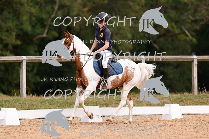 _R6A2629 - Dressage Morning