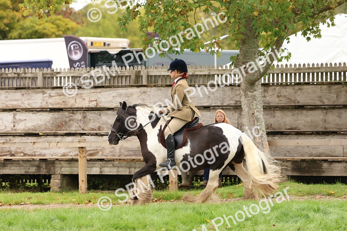 SBM_59978 - S36 - Rehabiliated Rescue Horse & Pony In Hand & Ridden