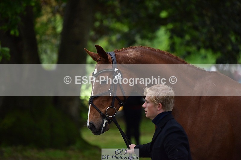 240522-163922-01067 - 265-GREANNANSTOWN_MONBEG_JOE-Finn_Healy