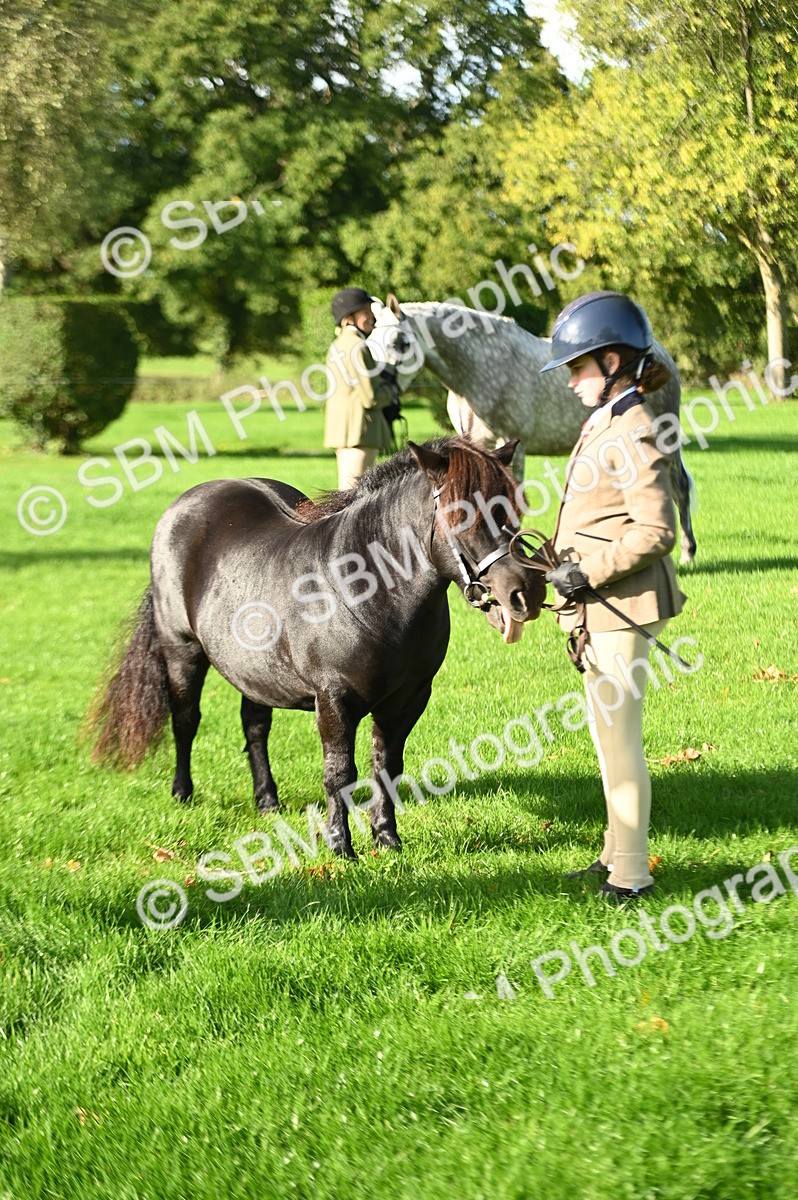 SBM_14748 - S1 - TSR in Hand Horse & Pony Showing