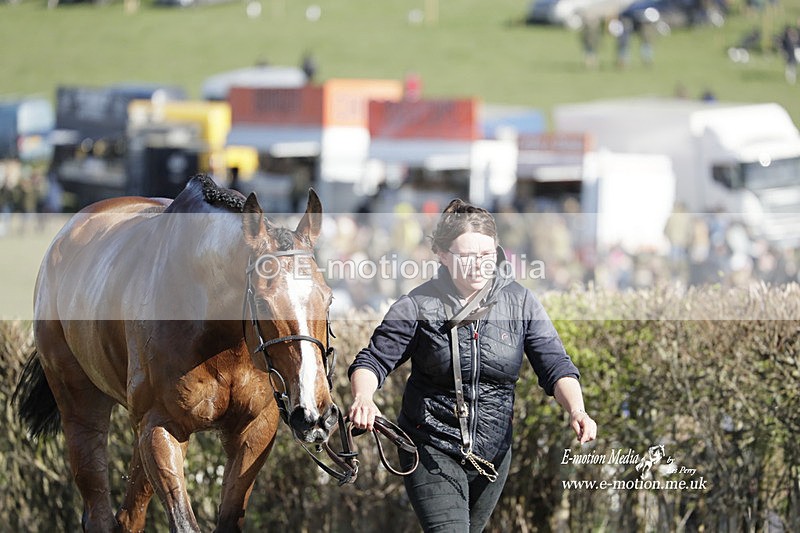 PtP 100423 1183 - Old Berkshire Point-to-Point Lockinge 10/04/23
